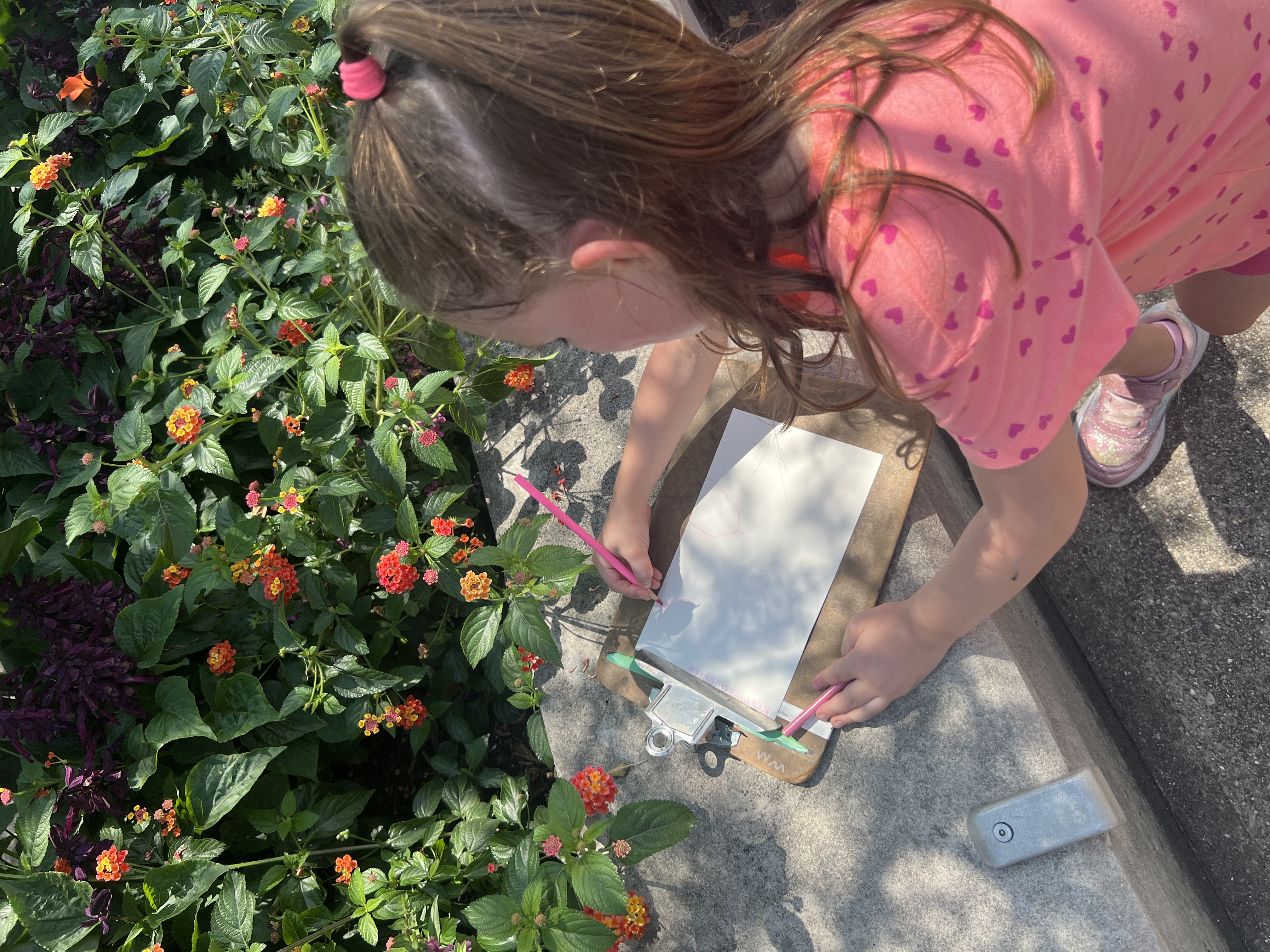 4-H Children's Garden
